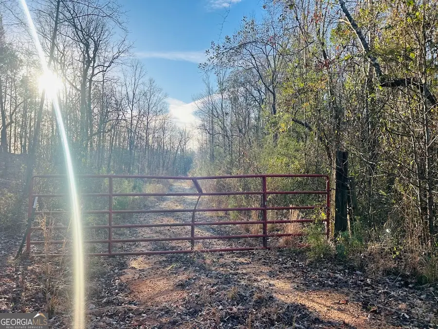 0 Bickley Road #TRACT A, Butler, GA 31006 - Image #2