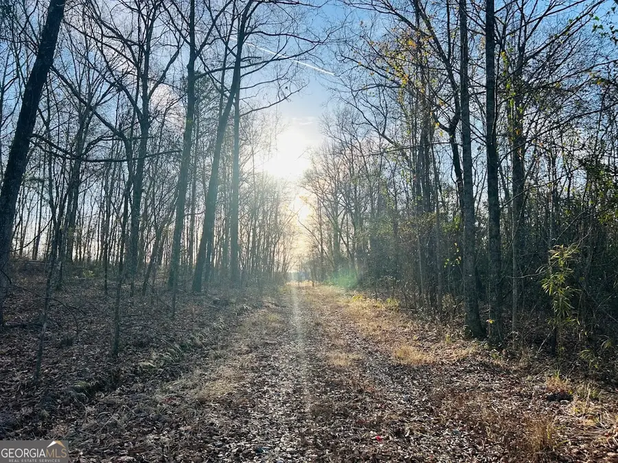 0 Bickley Road #TRACT A, Butler, GA 31006 - Image #3