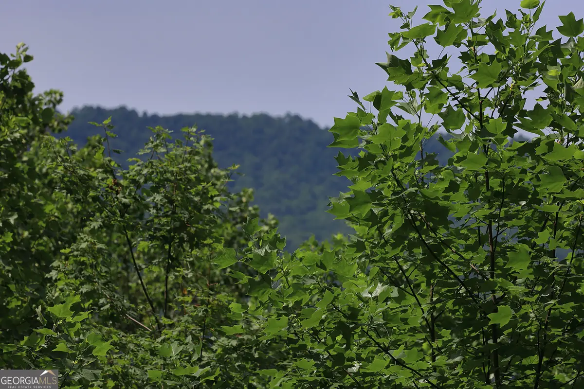 29 Cool Spring Lane, Clayton, GA 30525 - Image #1