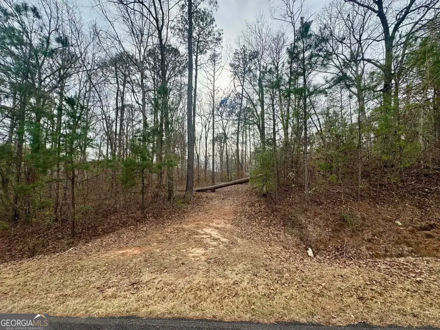 0 Hatchee Ridge Road, Dublin, GA 31021 - Image #3