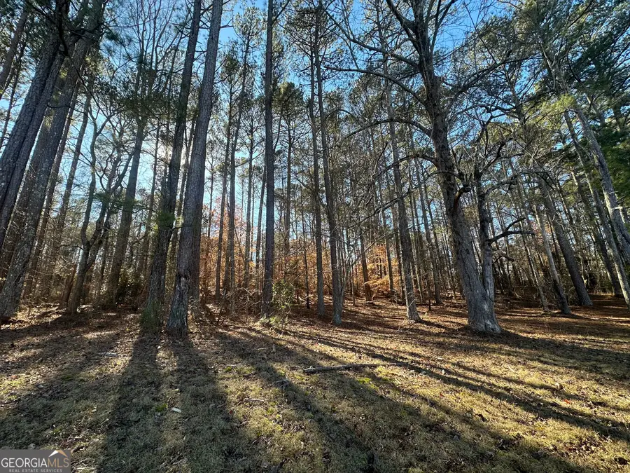 0 Hard Rock Road, Oxford, GA 30054 - Image #3