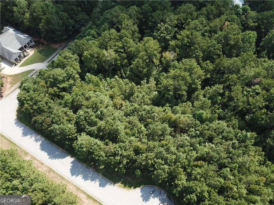 7732 Austin Court, Winston, GA 30187 - #2