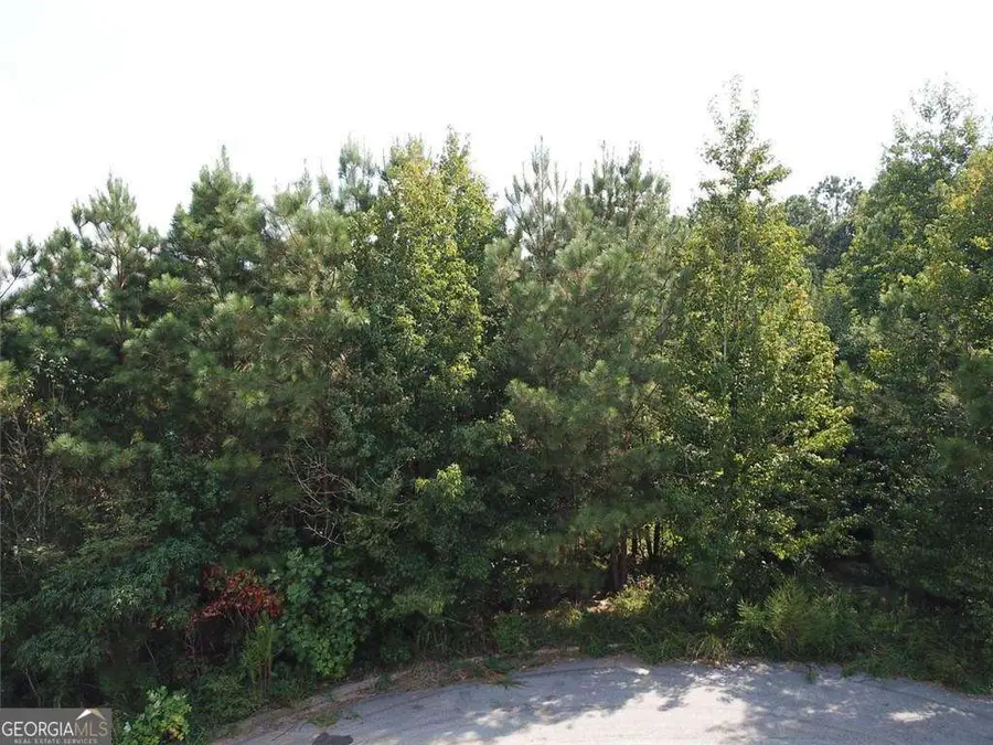 7722 Austin Court, Winston, GA 30187 - #2