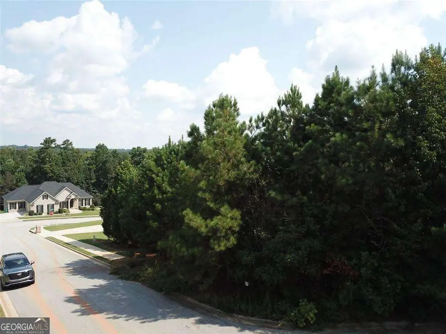 7722 Austin Court, Winston, GA 30187 - #3