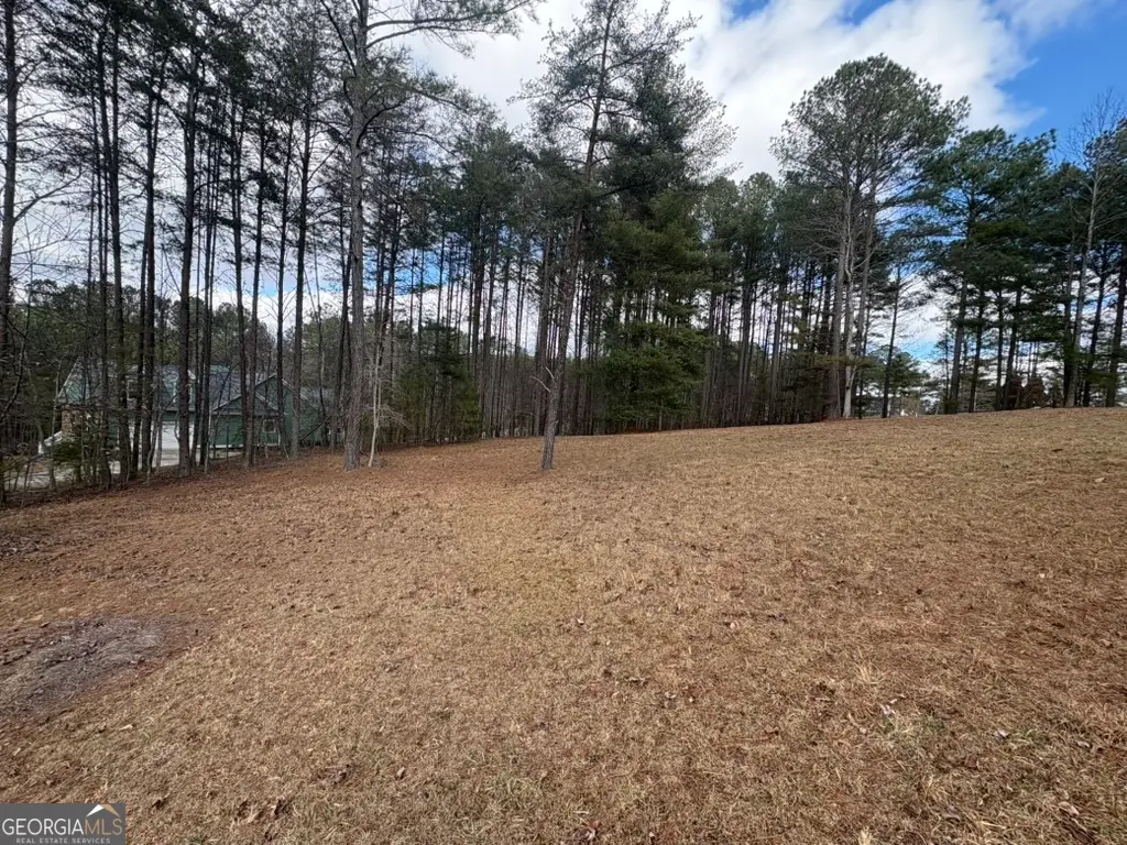 LOT 87 Creek Hollow Lane, Blairsville, GA 30512 - #1