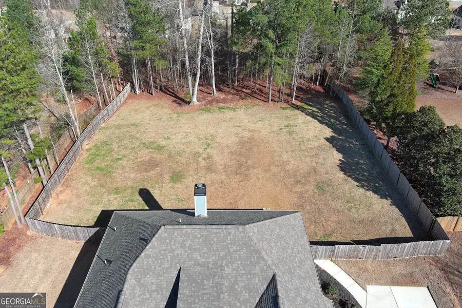 234 Thyme Leaf Way, Locust Grove, GA 30248 - Image #3