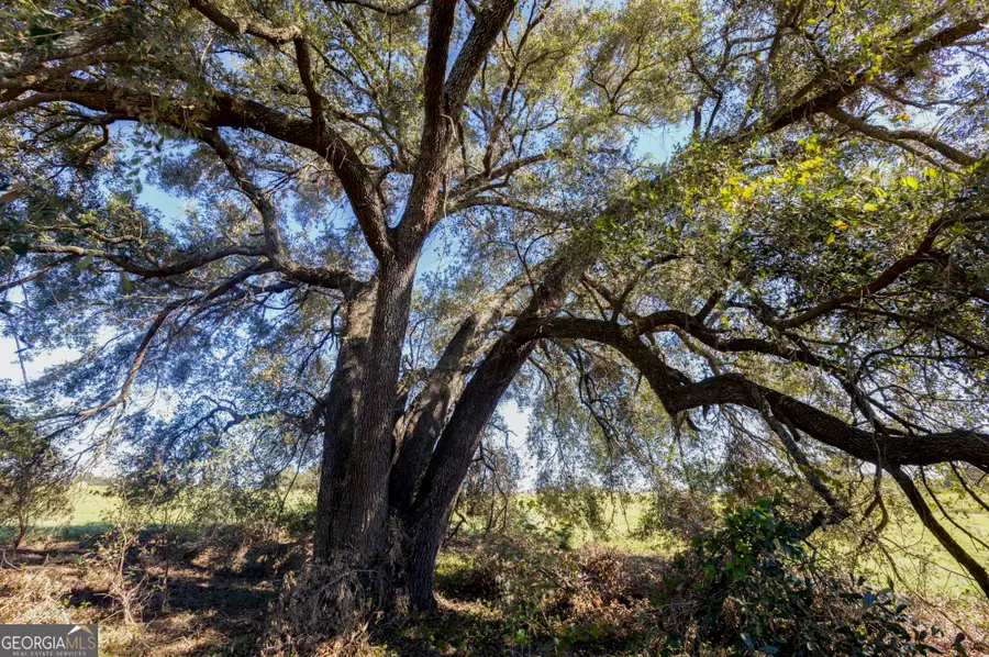 0 Ralph Keen Rd, East Dublin, GA 31027 - Image #3