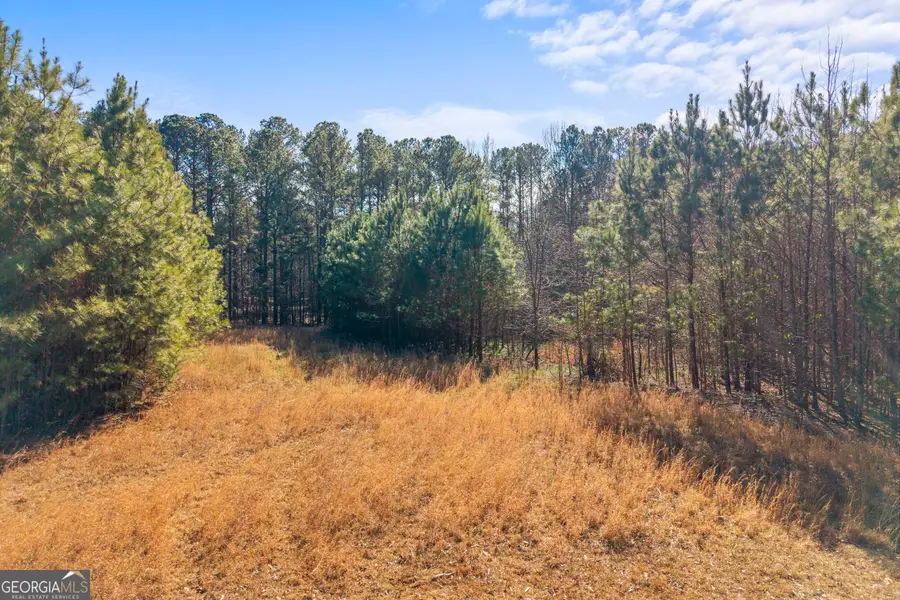 0 H D Atha Road, Covington, GA 30014 - Image #3