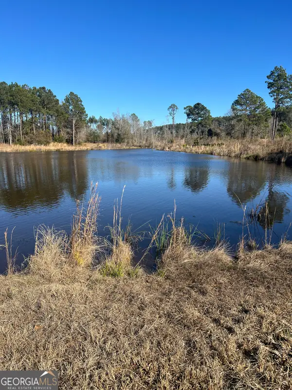 0 Marchants Dairy Rd, Rhine, GA 31077