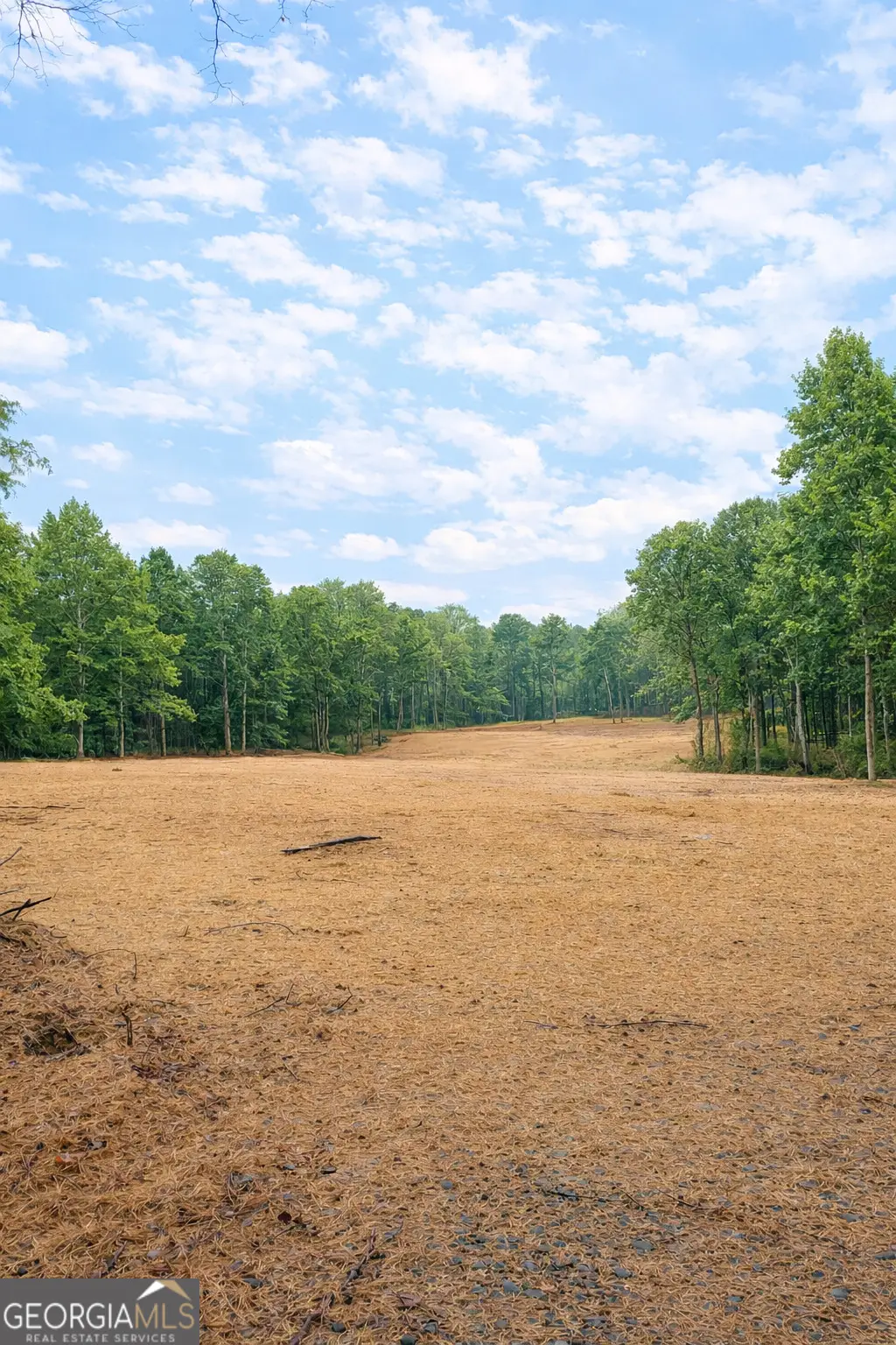 0 Hwy 155 Tract 2, Stockbridge, GA 30281 - Image #1