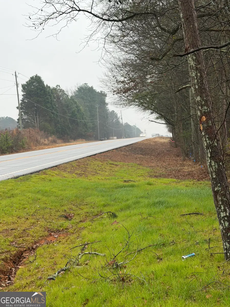 0 Hwy 155 Tract 2, Stockbridge, GA 30281 - Image #3