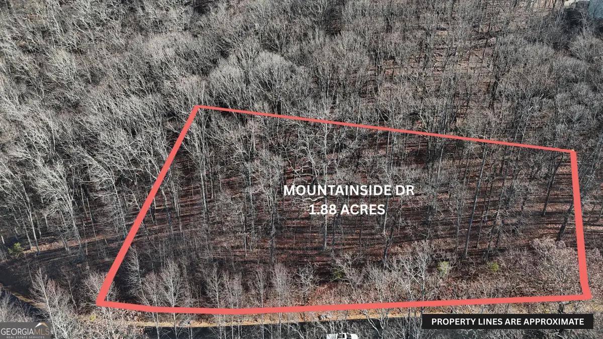 LOT 45 Mountainside Drive, Cleveland, GA 30528 - Image #1