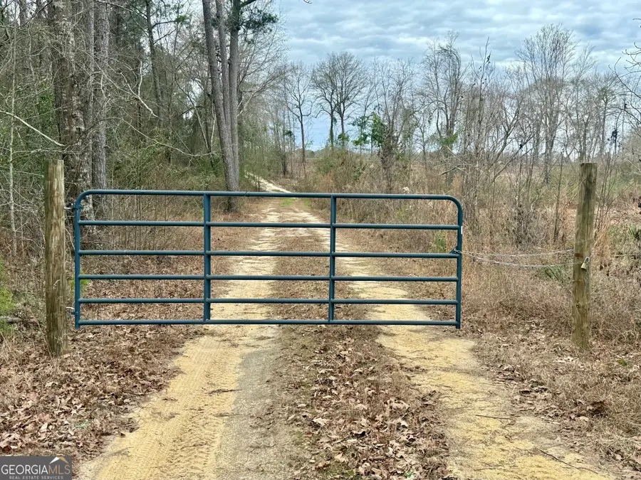 0 Davis Road, Dudley, GA 31022 - Image #2