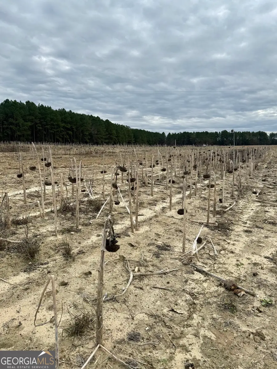 0 Davis Road, Dudley, GA 31022 - Image #3