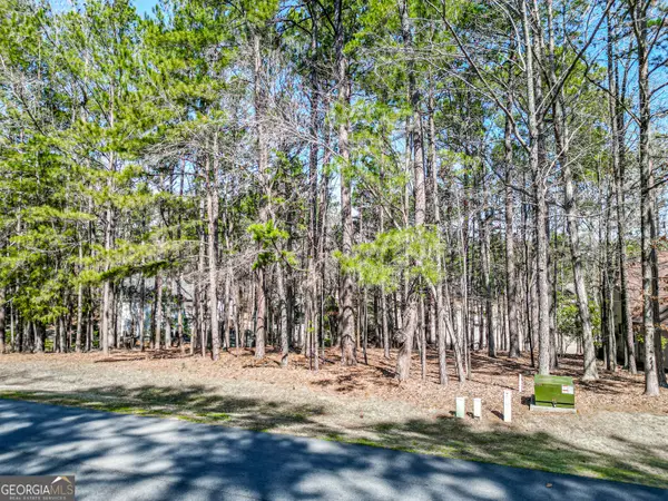 1050 Club Cove Drive #1050 CLUB COVE DRIVE, Greensboro, GA 30642