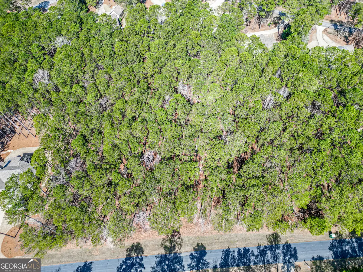 1051 Big Water Point, Greensboro, GA 30642 - #1