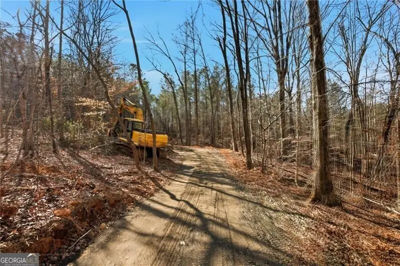 6.651 Acres On Orlando Path, Dallas, GA 30157 - #3