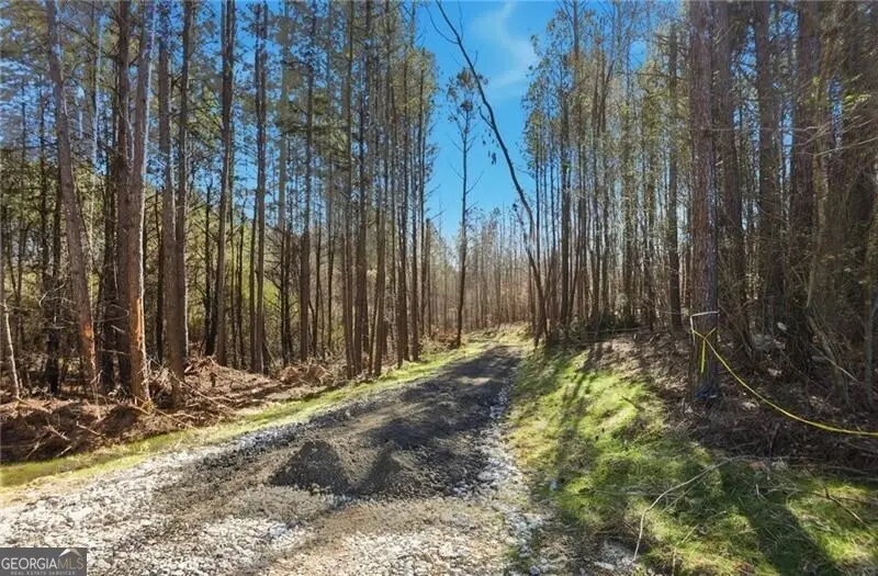 5.785 Acres On Orlando Path, Dallas, GA 30157 - #1
