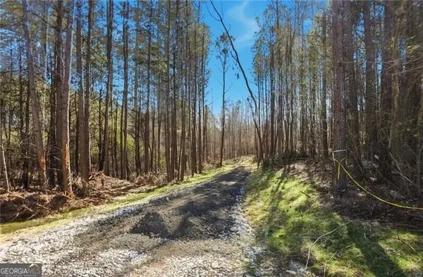 5.785 Acres On Orlando Path, Dallas, GA 30157
