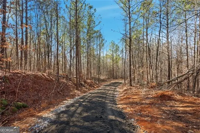 5.419 Acres On Pete Path, Dallas, GA 30157 - Image #3