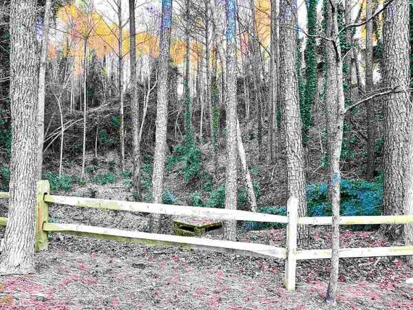 0 Niblick Drive, Johns Creek, GA 30022