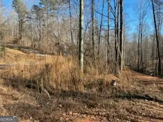 230 Harmony Valley Drive, Alto, GA 30510 - Image #2