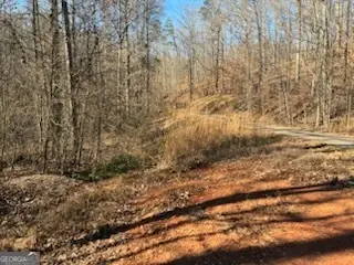 230 Harmony Valley Drive, Alto, GA 30510 - Image #3