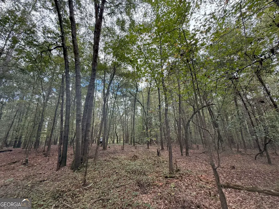 4 Jefferson River Road, Athens, GA 30607 - Image #3