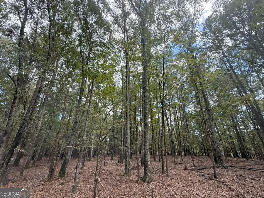 5 Jefferson River Road, Athens, GA 30607 - Image #2