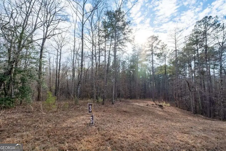 0 Freestone Street, Talking Rock, GA 30175 - #3