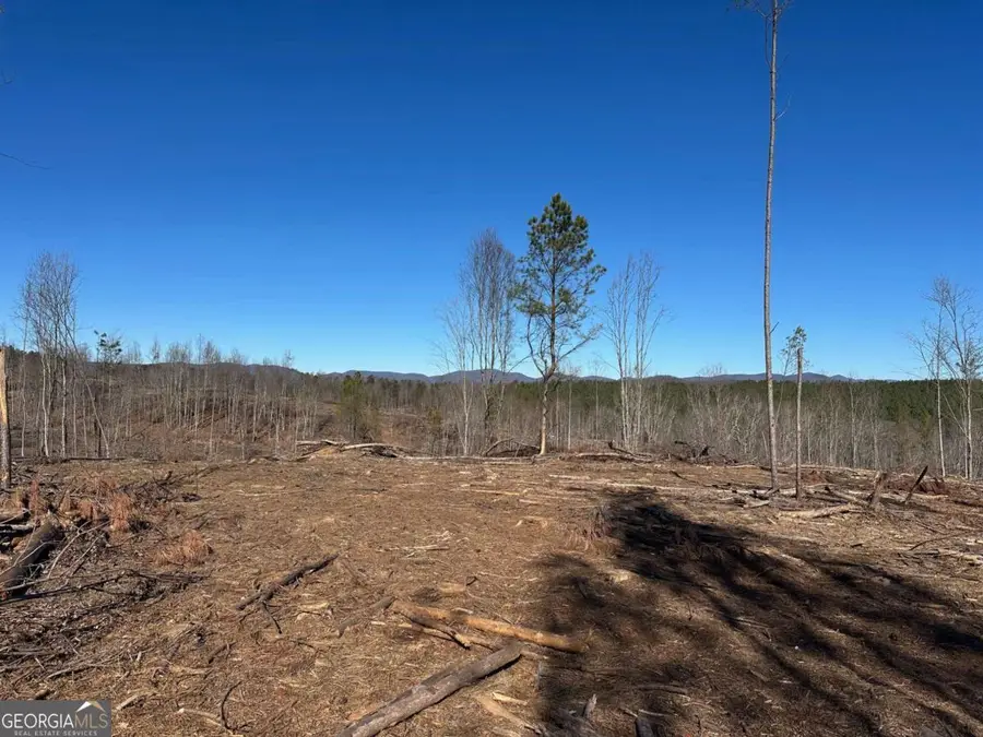 475 Larmon Forks Road, Dahlonega, GA 30533 - #2