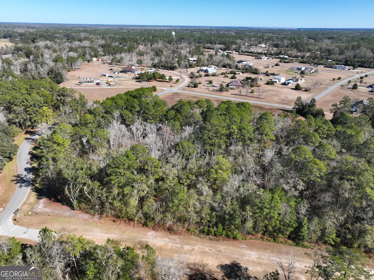 0 Pine Bluff Court, Woodbine, GA 31569 - Image #1