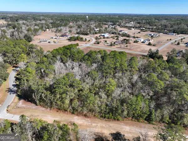 0 Pine Bluff Court, Woodbine, GA 31569