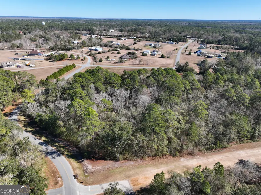 0 Pine Bluff Court, Woodbine, GA 31569 - Image #3