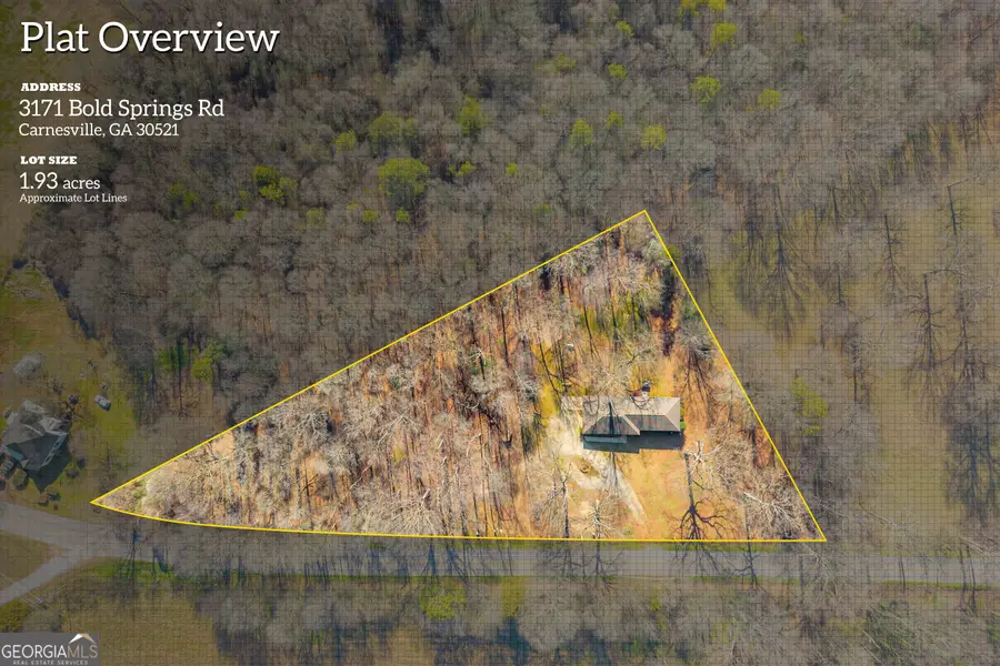 3171 Bold Springs Road, Carnesville, GA 30521 - Image #2