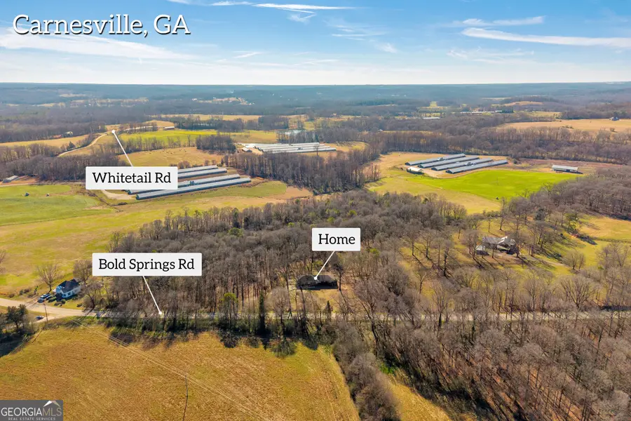 3171 Bold Springs Road, Carnesville, GA 30521 - Image #3
