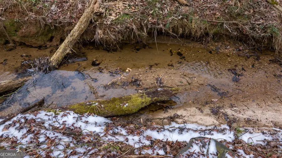 740 Broad River Church Rd Tract A, Eastanollee, GA 30538 - #3