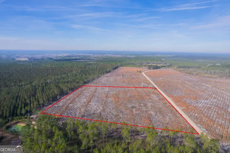 TRACT 6 Morris Break Road, Odum, GA 31555 - Image #1