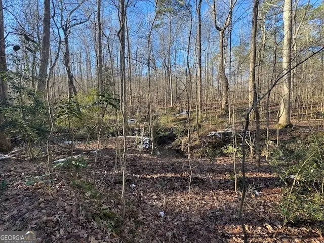 2581 Union Church Road Sw, Stockbridge, GA 30281 - Image #2