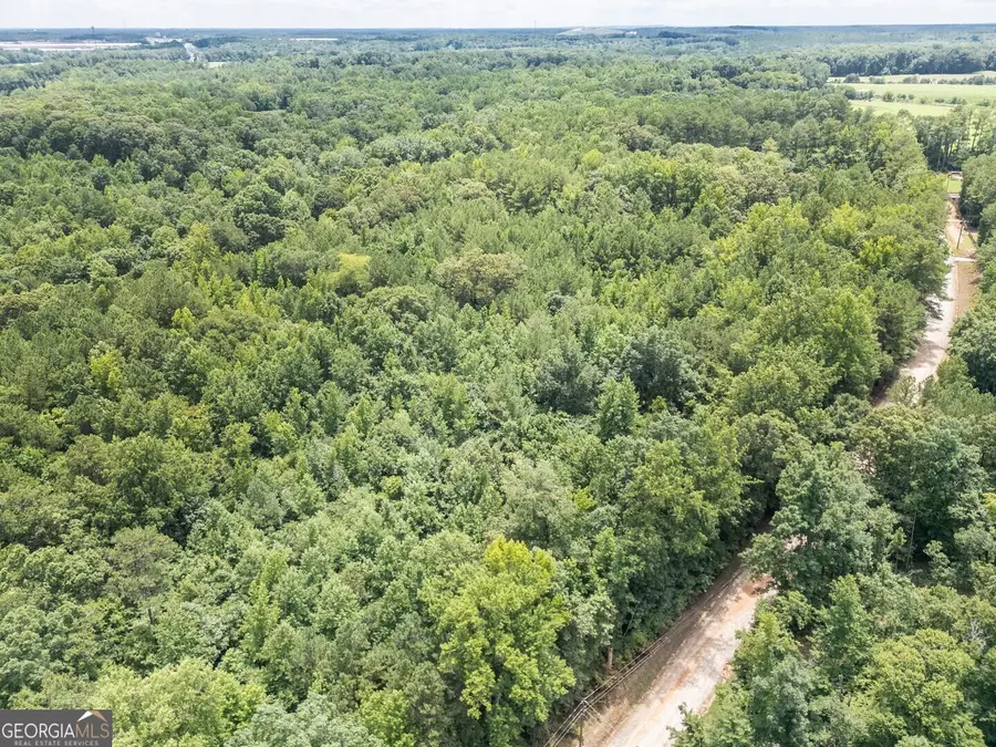 460 Pullin Road, Locust Grove, GA 30248 - Image #3