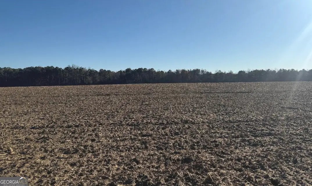 0 Whitfield Road, Elko, GA 31025 - Image #1