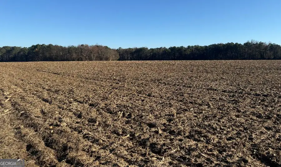 0 Whitfield Road, Elko, GA 31025 - Image #3