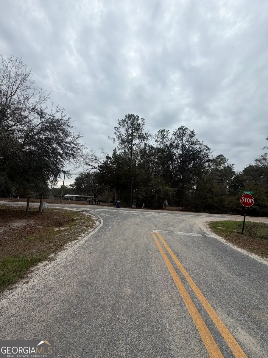 745 St Marys River Bluff Road, Saint George, GA 31562 - Image #2