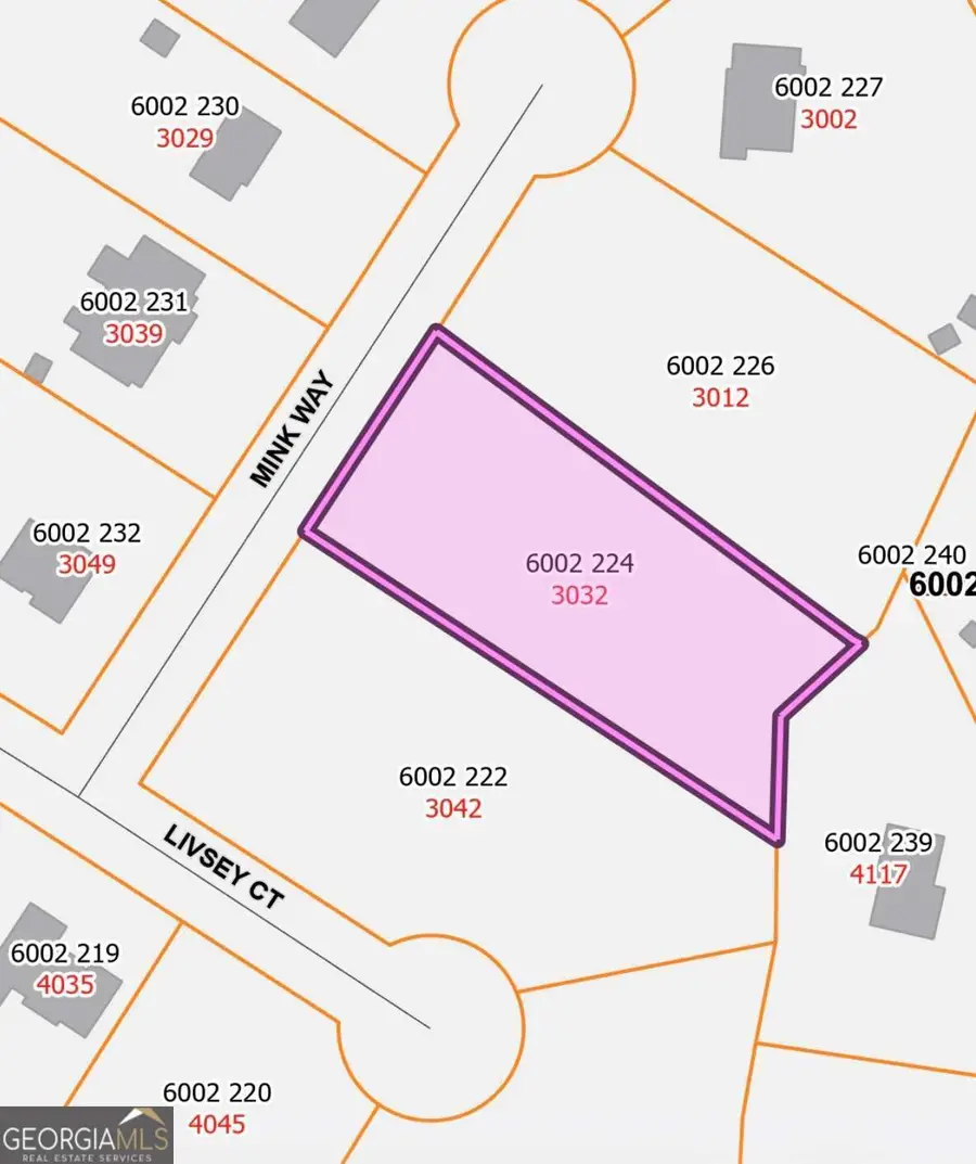 3032 Mink Way, Snellville, GA 30039 - Image #2