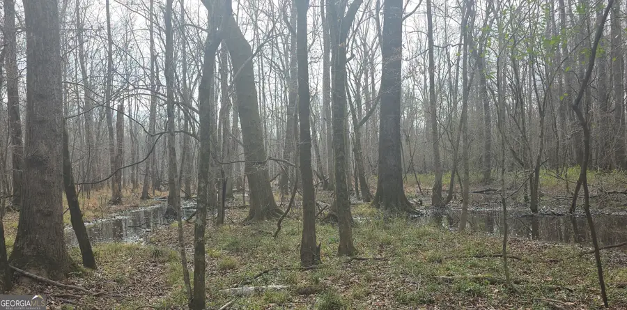 7367 Crest Highway, Molena, GA 30258 - #3