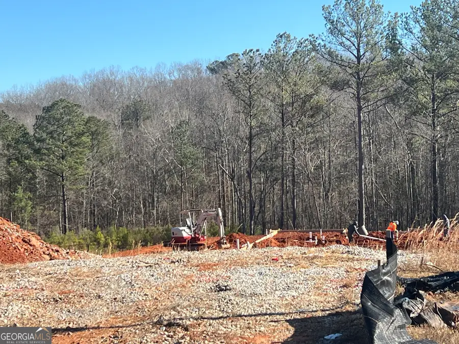 LOT 16 Piney Wood Drive #16, Newnan, GA 30263 - Image #2