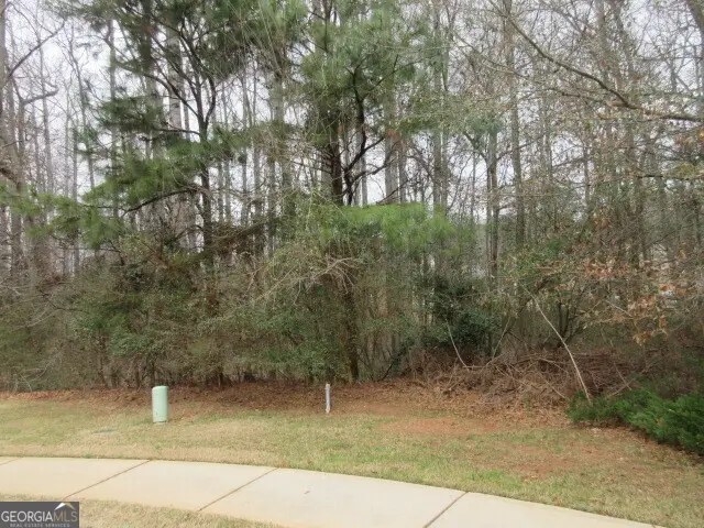 710 Donner Court, McDonough, GA 30252 - Image #2