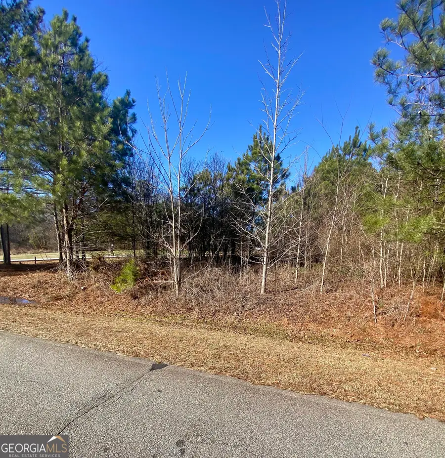 0 Line Creek Road Lot 2, Senoia, GA 30276 - Image #2