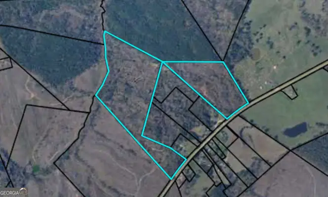 0 Delhi Road, Tignall, GA 30668 - Image #1