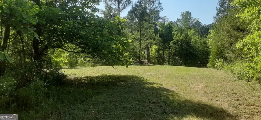 0 Delhi Road, Tignall, GA 30668 - Image #2